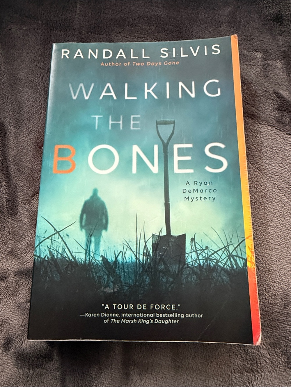 Walking the Bones by Randall Silvis - Paperback